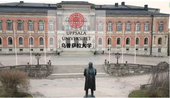 1754877655887588.png image.png